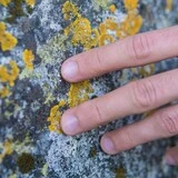 Mikroorganizmy Mikroorganizmy