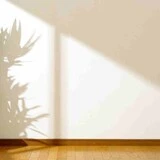 Biela stena s jemnou štukovou omietkou s kvetom a drevenou podlahou