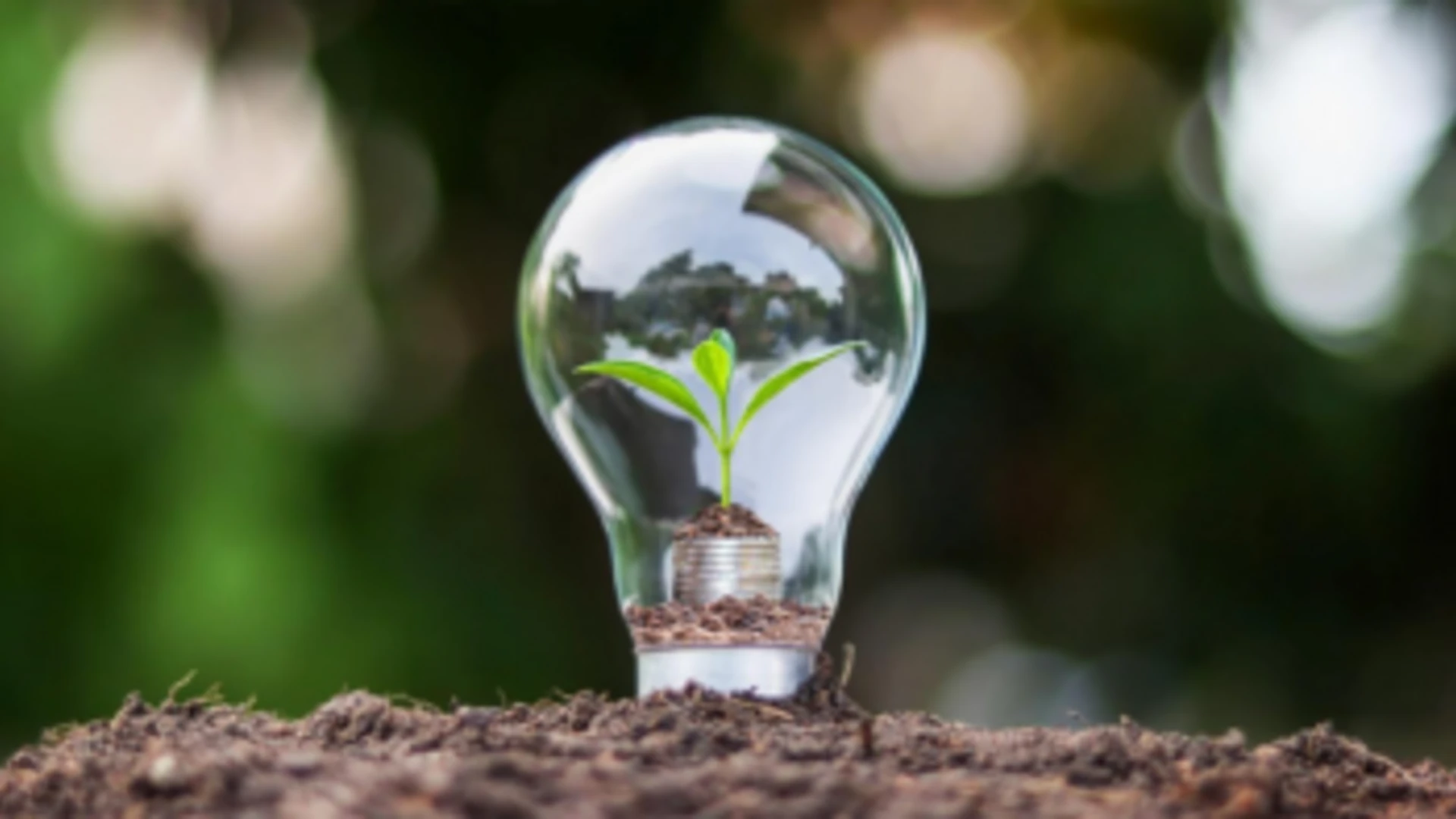 Žiarovka položená v zemi s mincami a rastlinkou symbolizujúcu šetrenie energie.