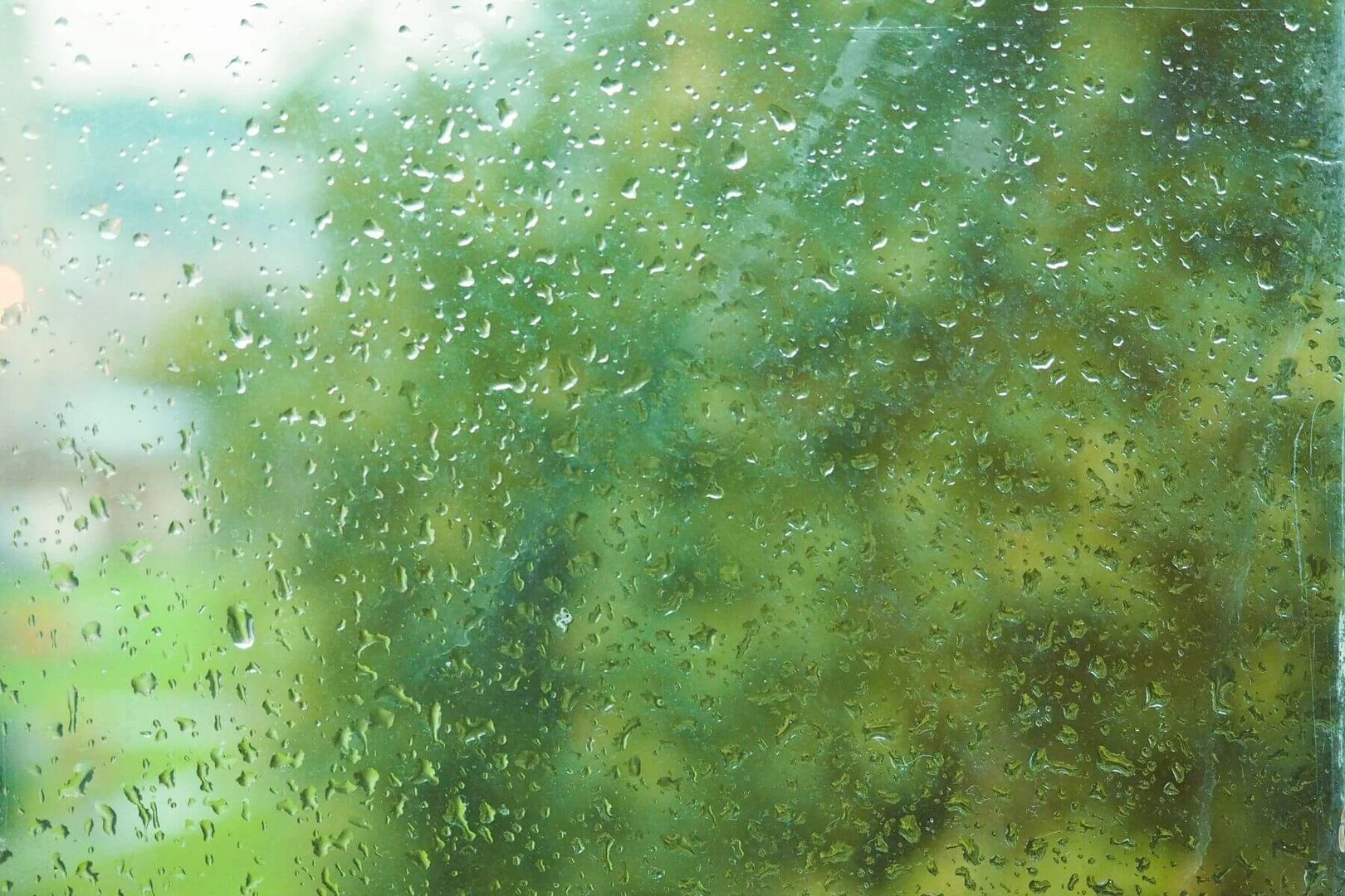 Zarosené okno s výhľadom na zeleň