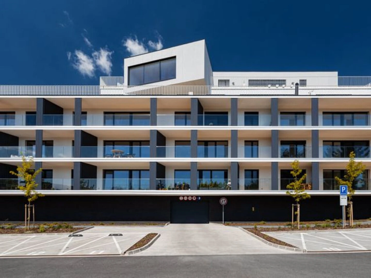 Viladom Janka Kráľa