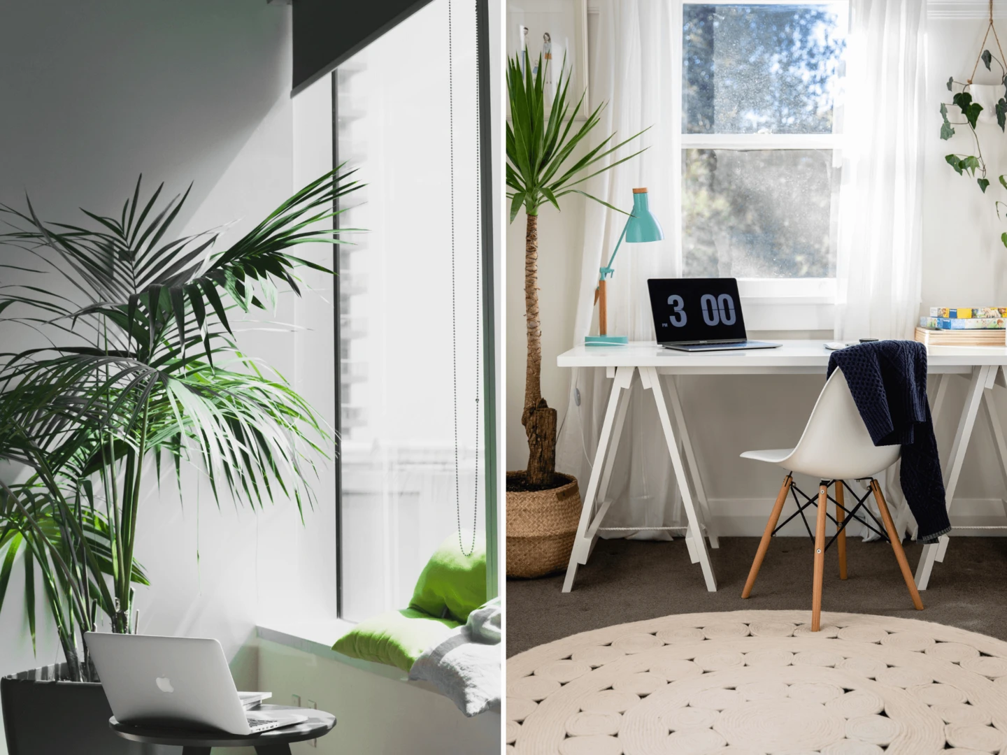 Domáce pracovne so zelenými rastlinami.