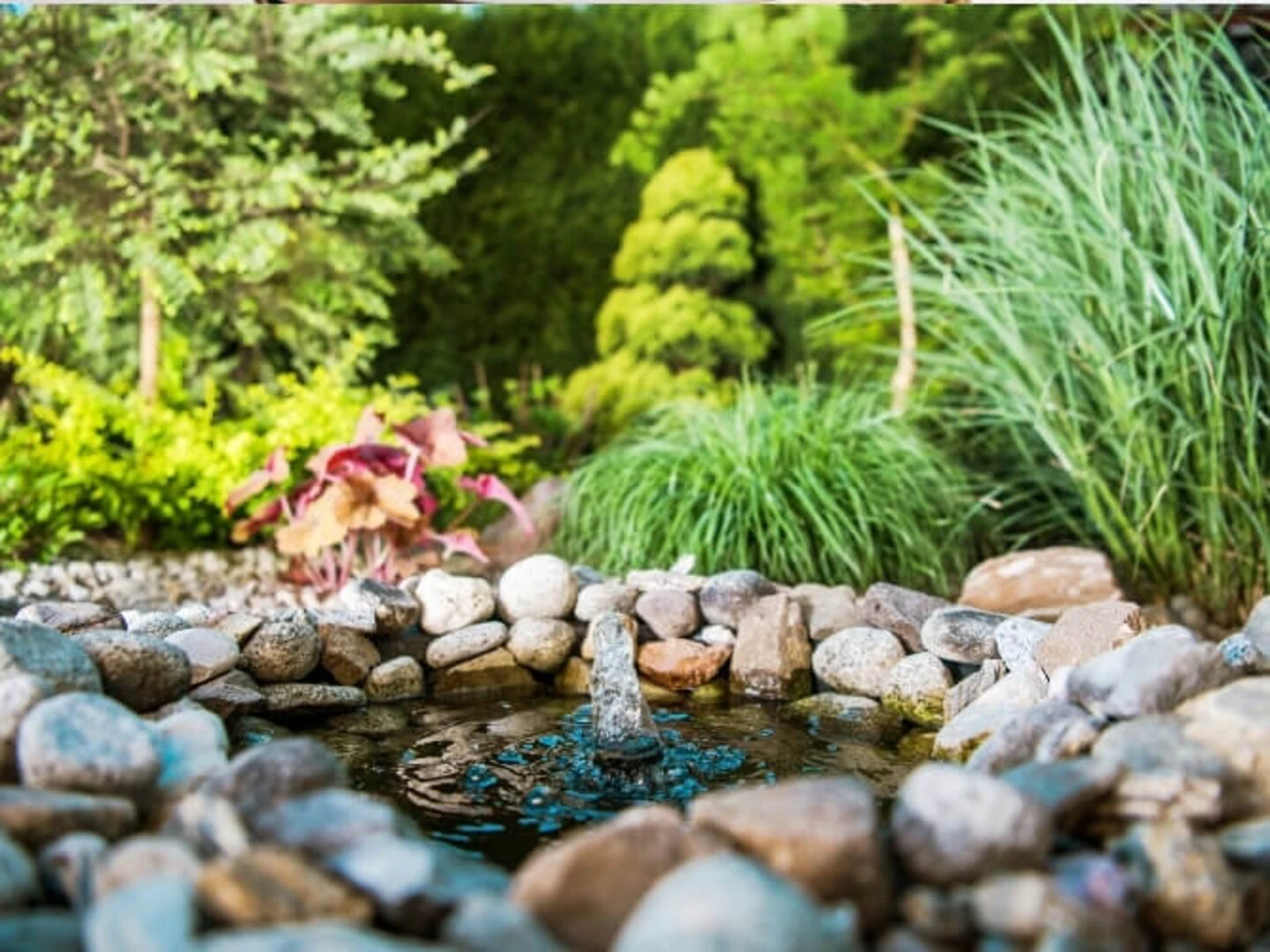 Záhrada s okrasnými rastlinami a veľkým trávnikom