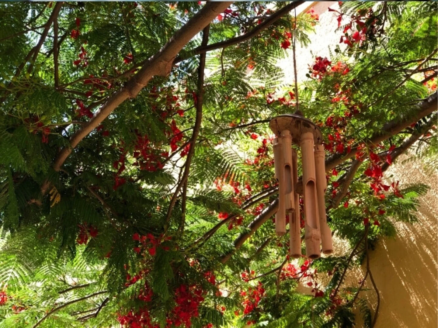 Drevená zvonkohra v záhrade