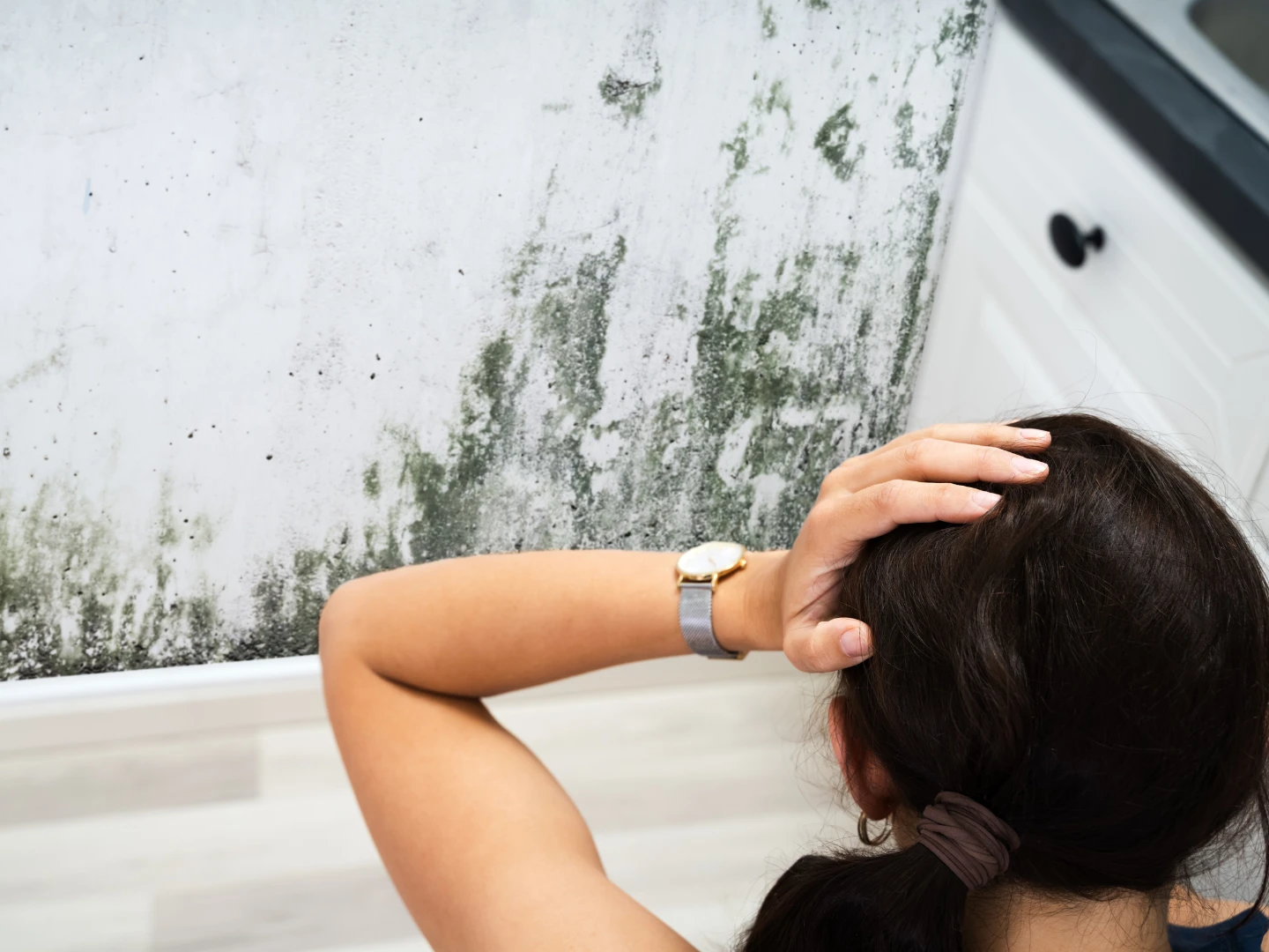 Pleseň v byte na stene