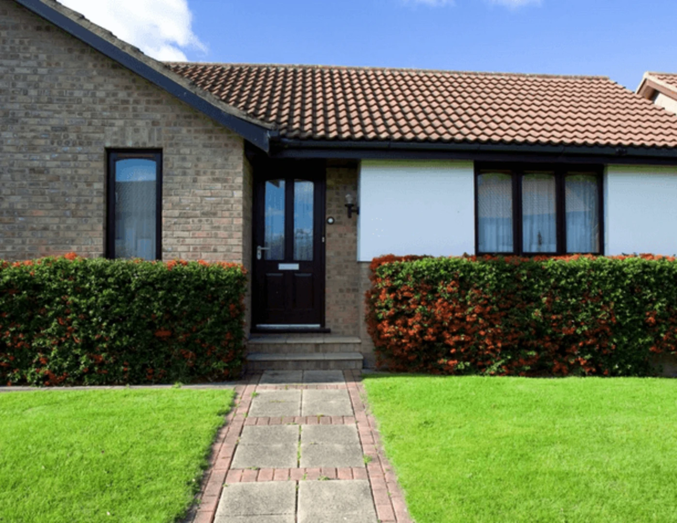 Predzáhradka rodinného domu s kvetinovým kríkom.