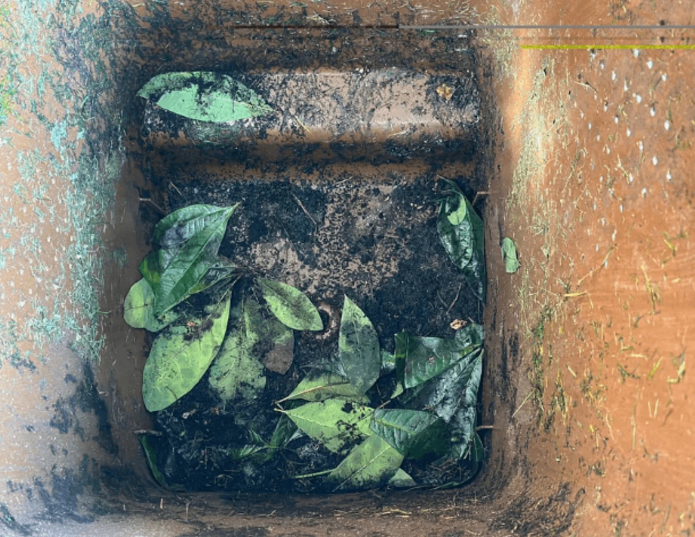 Ostrihané listy rastliny v hnedej nádobe na biologicky rozložiteľný odpad.