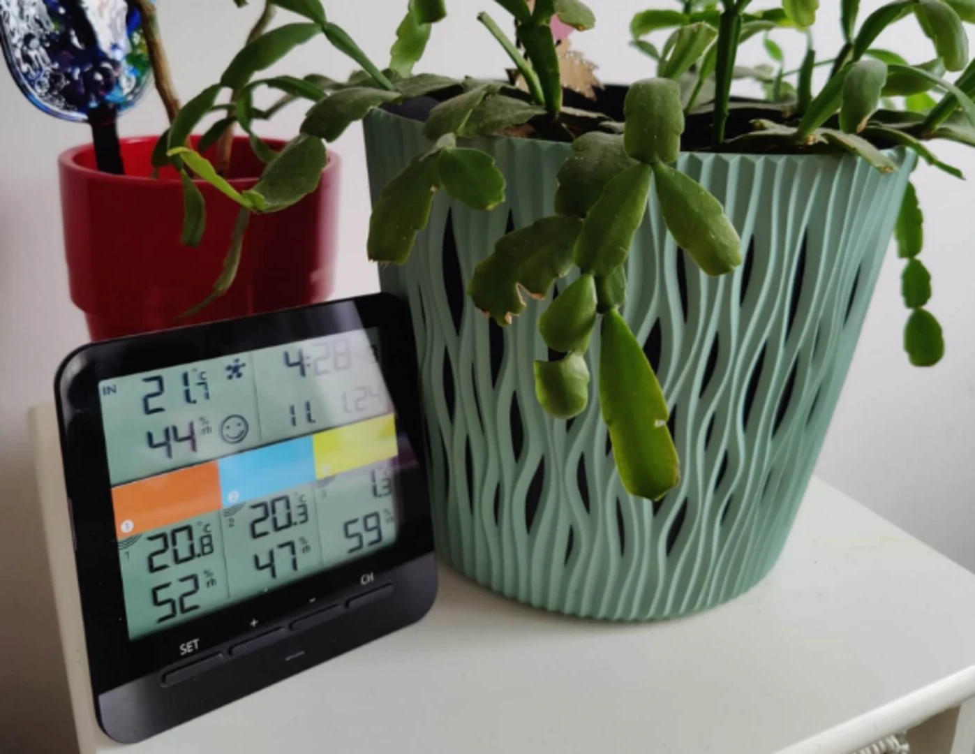 Merač vlhkosti položený vedľa rastliniek.