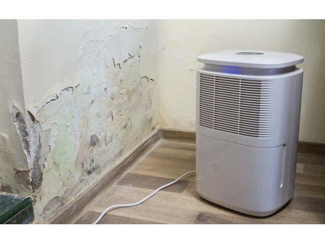 Odvlhčovač vzduchu položený pri plesnivej stene.