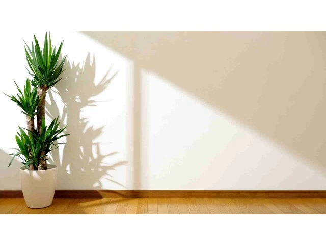Biela stena s jemnou štukovou omietkou s kvetom a drevenou podlahou