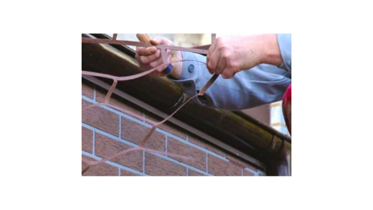 samolepiaca šablóna