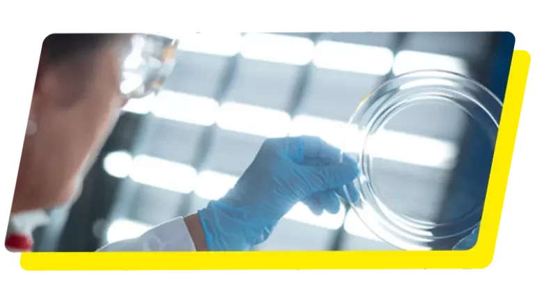 Inovácie spoločnosti Weber